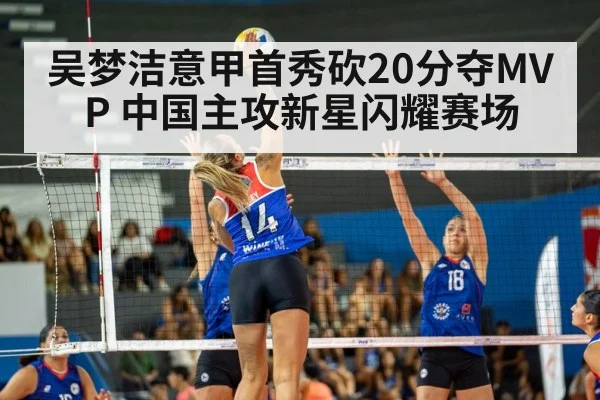 volleyball match