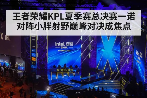 王者荣耀KPL夏季赛总决赛一诺对阵小胖射野巅峰对决成焦点