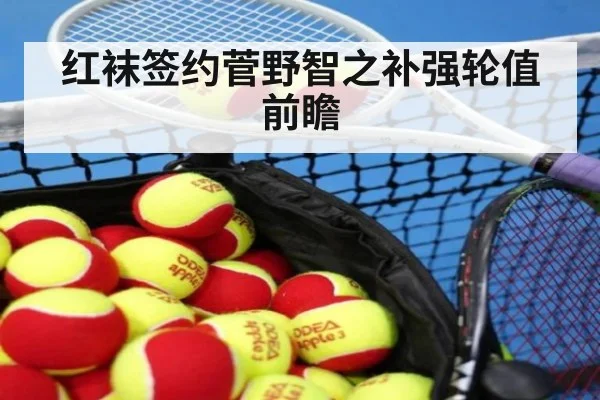 红袜签约菅野智之补强轮值前瞻
